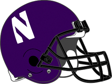 Northwestern Wildcats 1994-Pres Helmet Logo diy iron on heat transfer